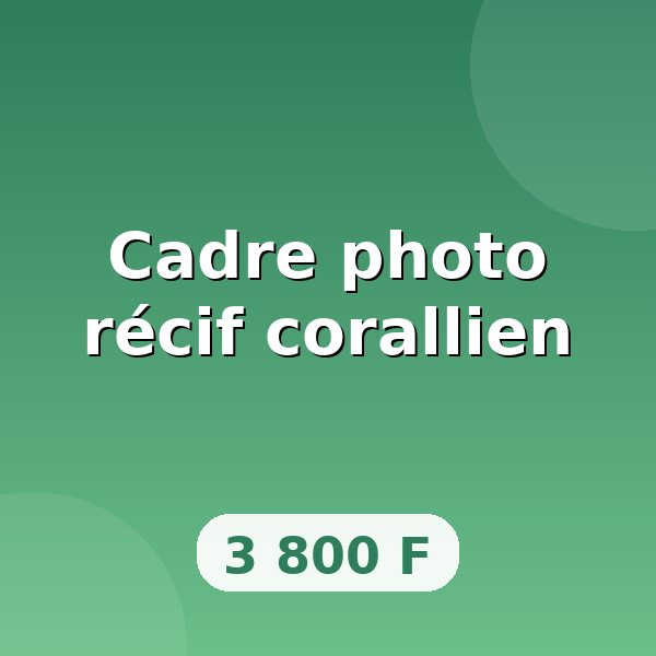 Cadre photo récif corallien